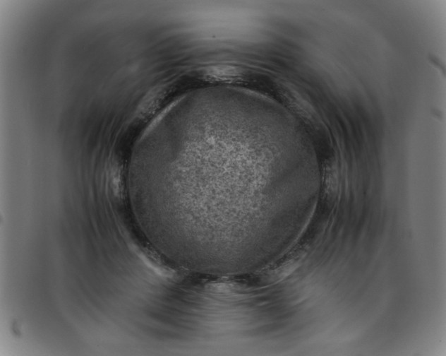 X0000097460408200803071635