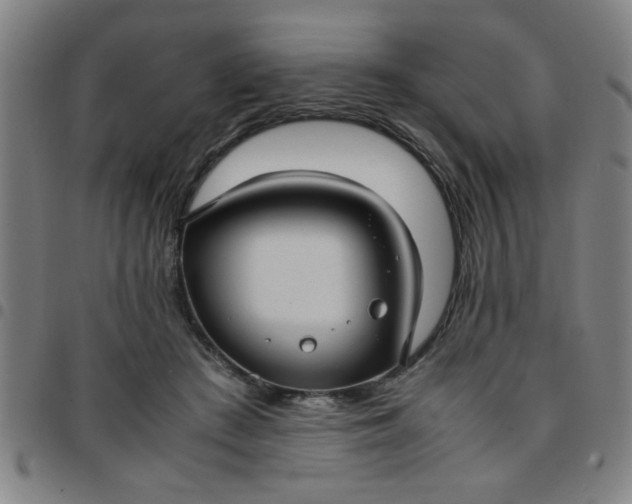 X0000097460409200803071635