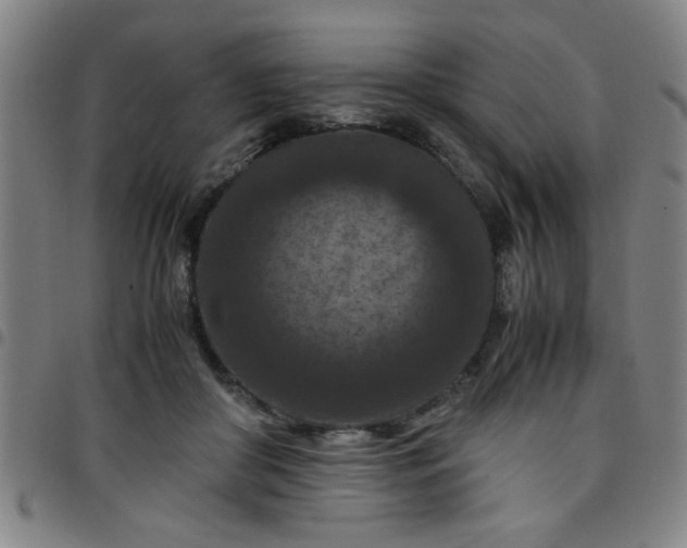 X0000097460410200803071635