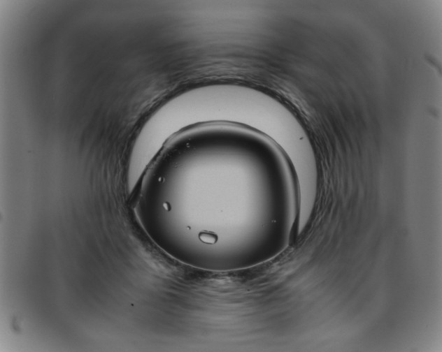 X0000097460411200803071635