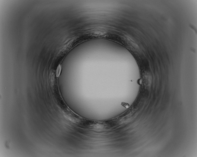 X0000097460412200803071635