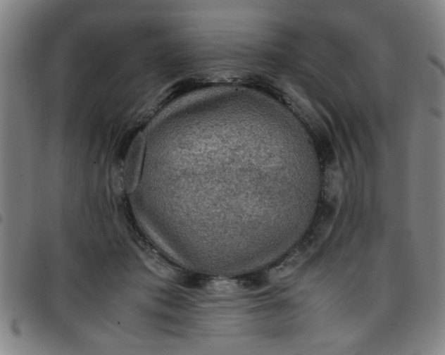 X0000097460413200803071635