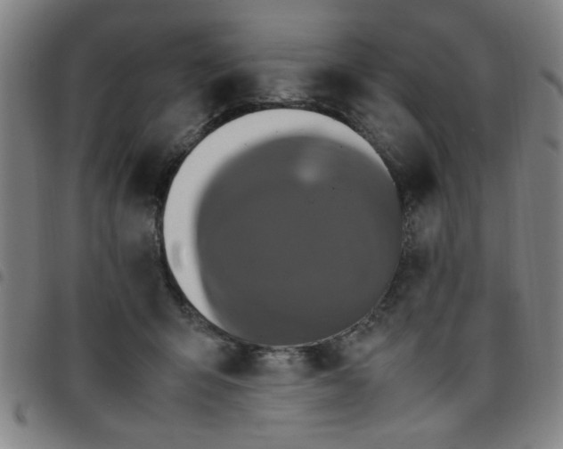 X0000097460415200803071635