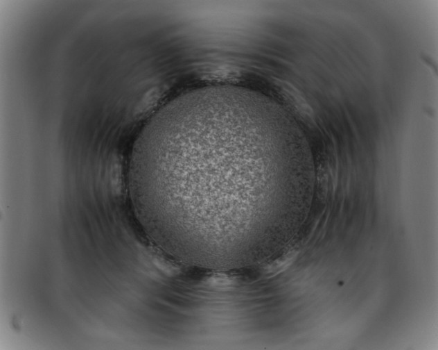 X0000097460416200803071635