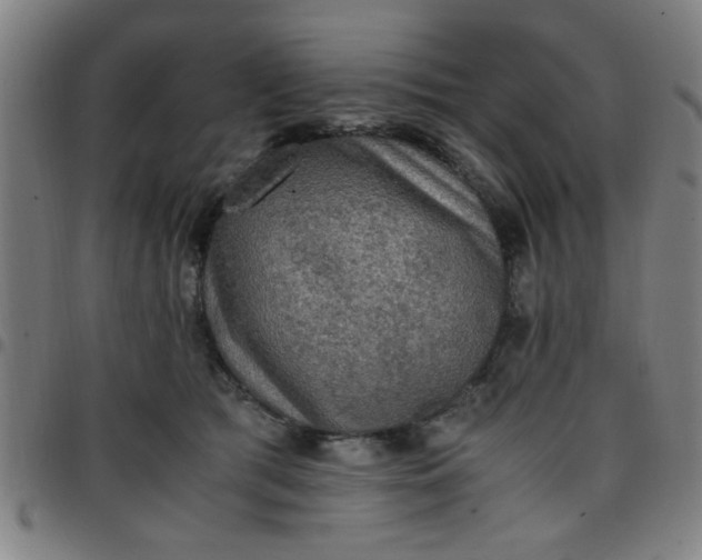 X0000097460417200803071635