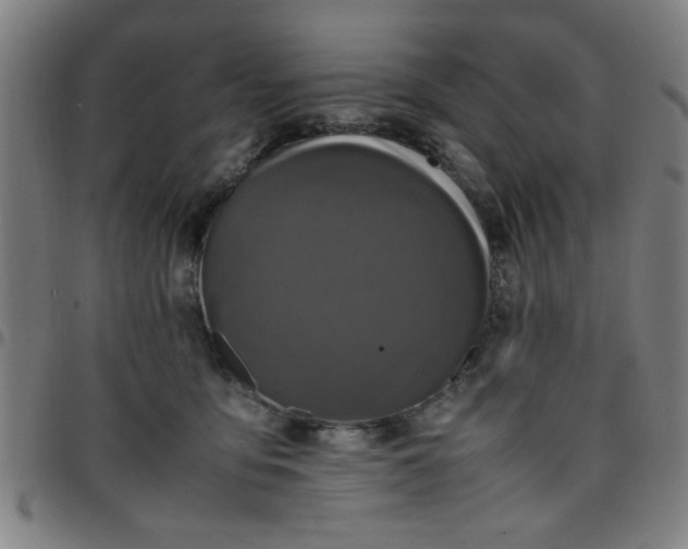 X0000097460419200803071635