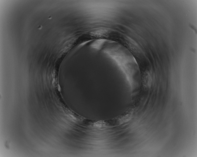 X0000097460420200803071635