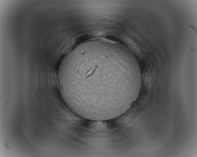 X0000097460421200803071635