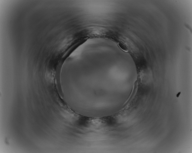 X0000097460423200803071635