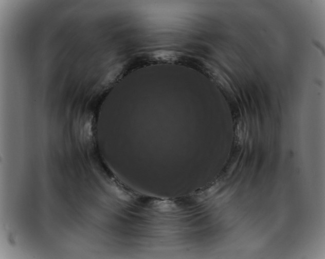 X0000097460424200803071635