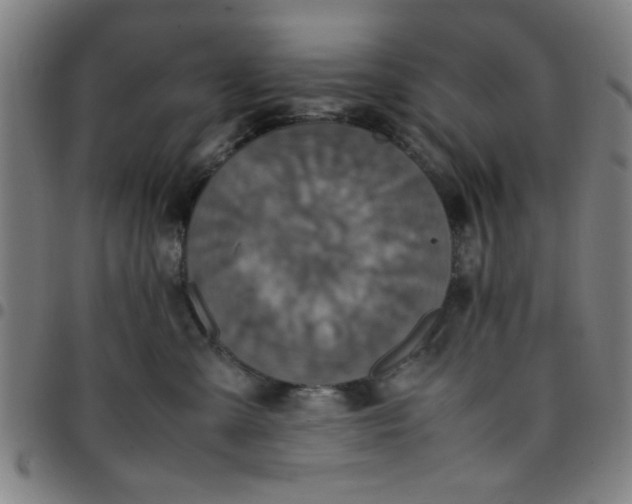 X0000097460427200803071635