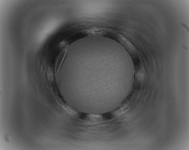 X0000097460429200803071635