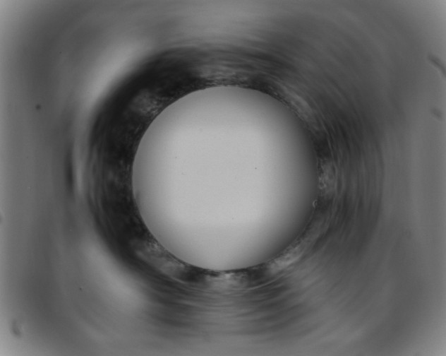 X0000097460430200803071635