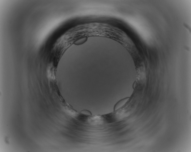 X0000097460431200803071635