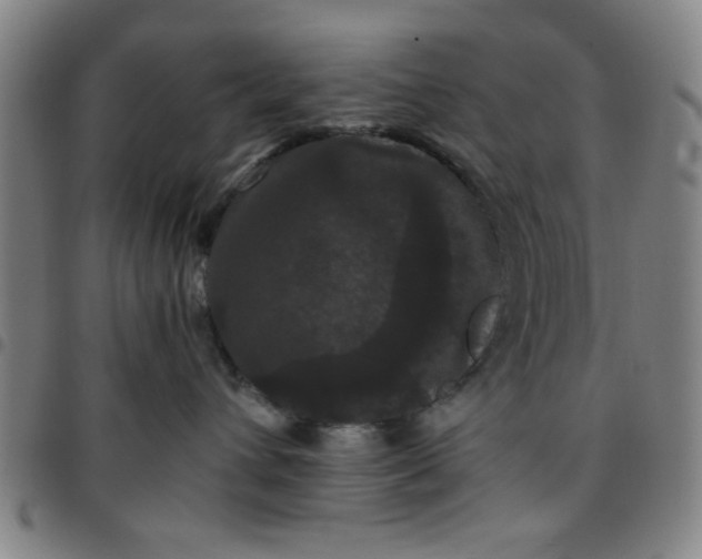 X0000097460432200803071635