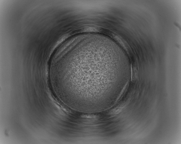 X0000097460435200803071634