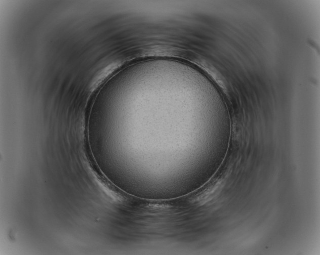 X0000097460437200803071634