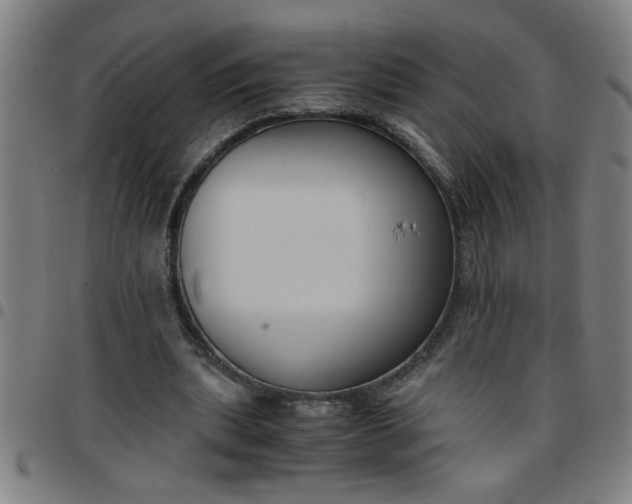 X0000097460439200803071635