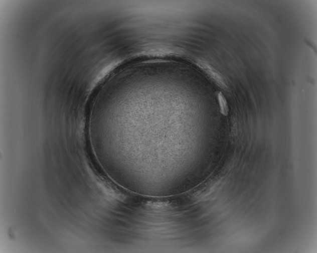 X0000097460440200803071635