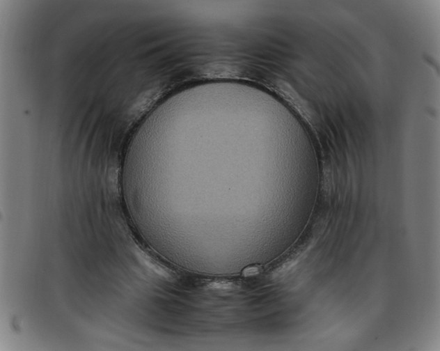 X0000097460441200803071635