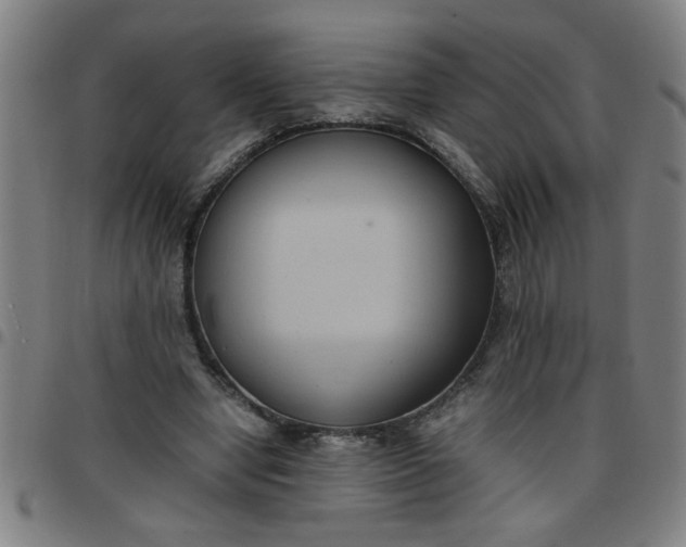 X0000097460442200803071635