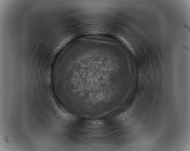 X0000097460443200803071635