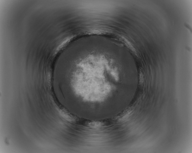 X0000097460444200803071635