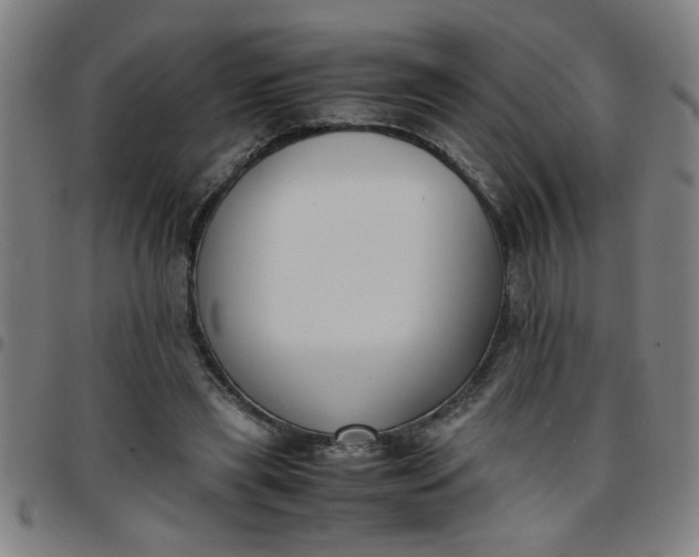 X0000097460445200803071635