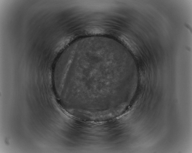 X0000097460447200803071635