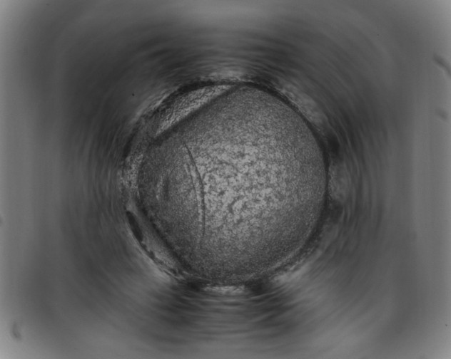 X0000097460449200803071635