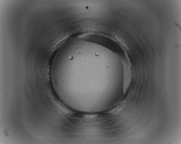 X0000097460450200803071635