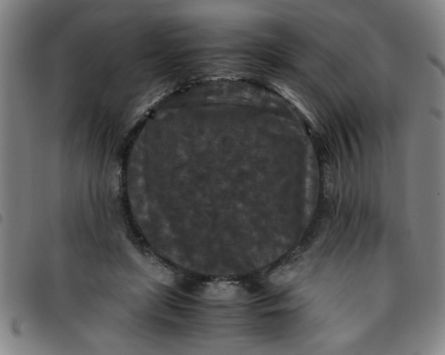 X0000097460451200803071635