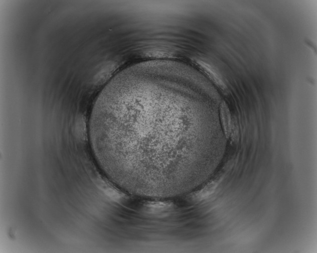 X0000097460453200803071635