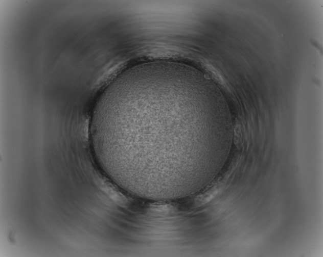 X0000097460454200803071635