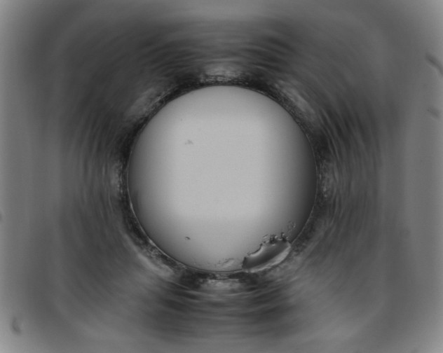 X0000097460455200803071635