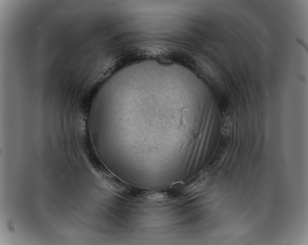 X0000097460456200803071635