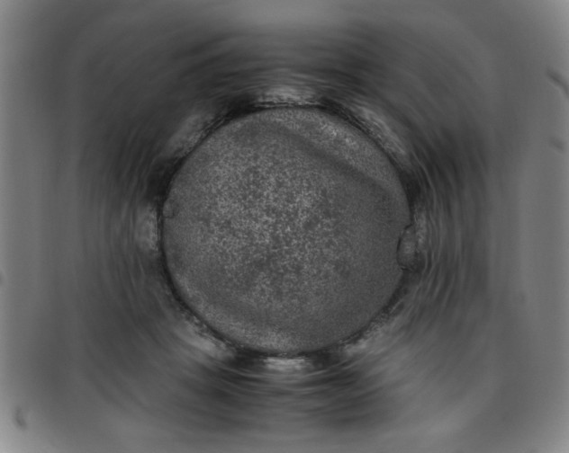 X0000097460457200803071635