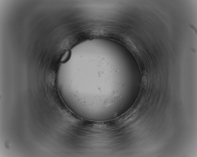 X0000097460458200803071635