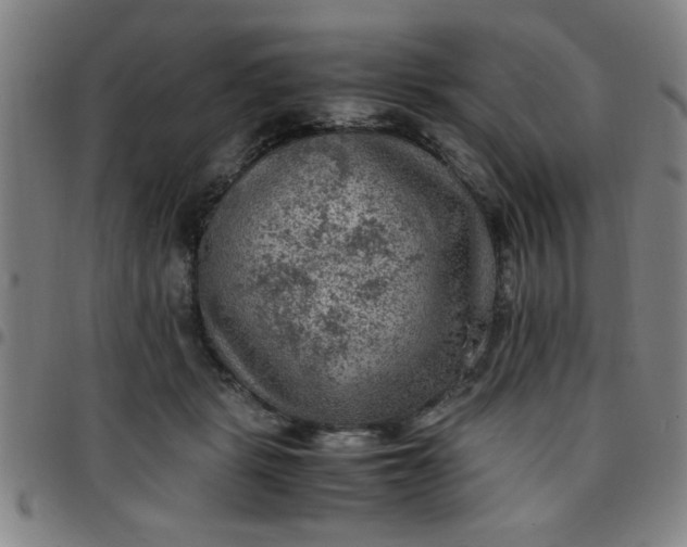 X0000097460461200803071635