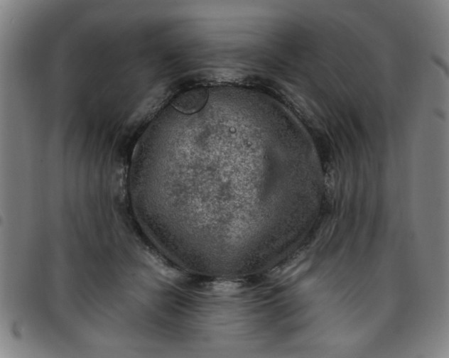 X0000097460462200803071635