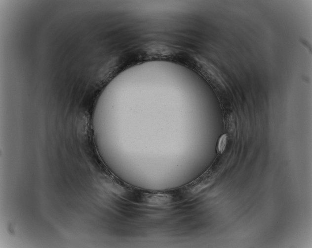 X0000097460463200803071635