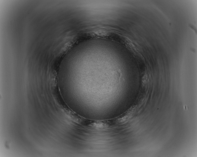 X0000097460464200803071635