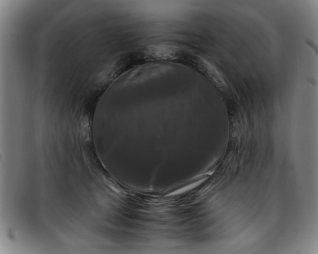 X0000097460465200803071635