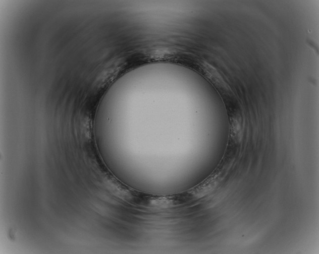 X0000097460470200803071635