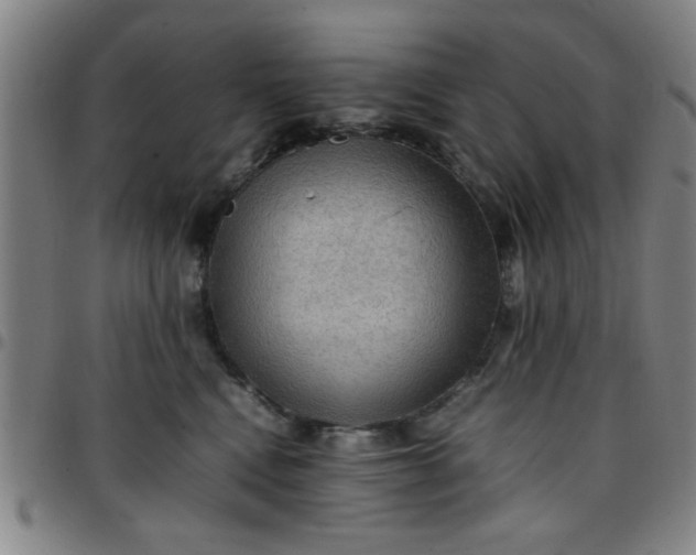 X0000097460472200803071635