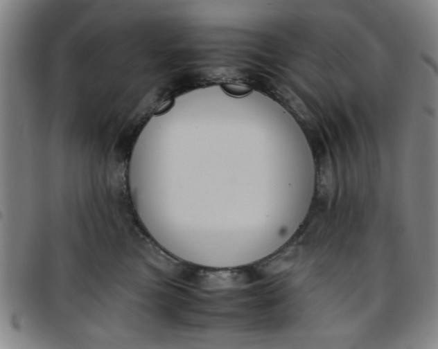 X0000097460473200803071635