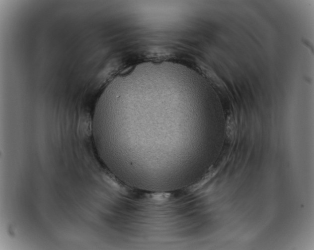 X0000097460474200803071635