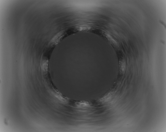 X0000097460475200803071635