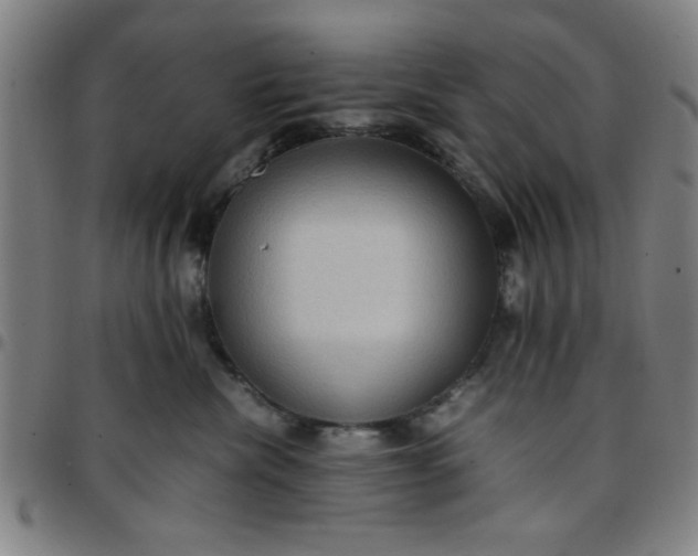 X0000097460476200803071635