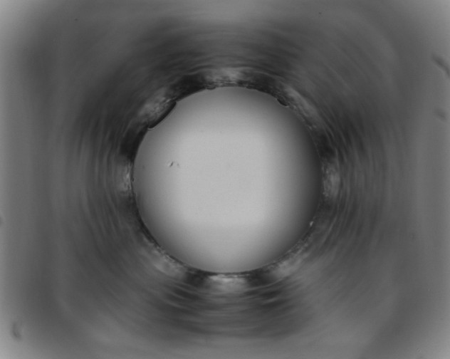 X0000097460477200803071635